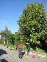 Img_004310