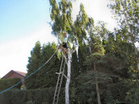 Img_017878