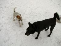 Img_000102