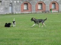 Img_001424