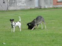 Img_001425
