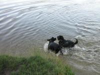 Img_001690