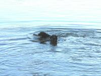 Img_001691