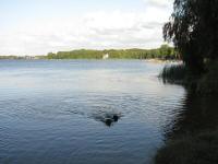 Img_001694
