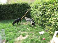 Img_001733