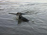 Img_001770