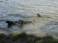 Img_001798