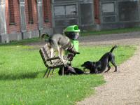 Img_001886
