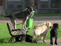 Img_001891