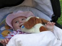 Img_001910