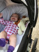 Img_001916