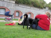 Img_001944