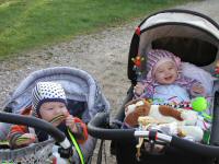 Img_001967