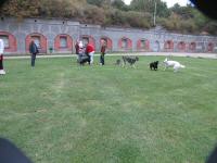 Img_001981