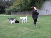 Img_001982