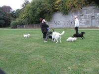Img_001983