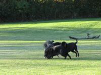 Img_002031