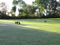 Img_002033