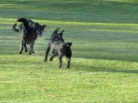 Img_002037