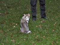 Img_002287