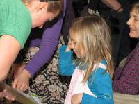 Img_002646
