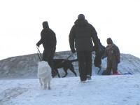 Img_002659