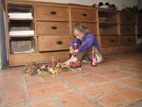 Img_003231