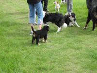 Img_003365