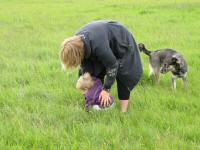Img_003382