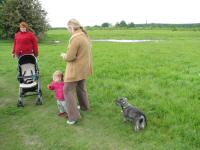 Img_003383