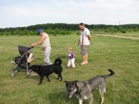 Img_003481