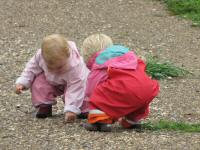 Img_003767