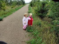 Img_003797