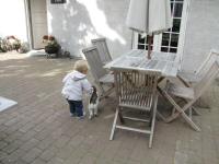 Img_003901