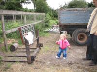 Img_003991