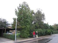 Img_004179