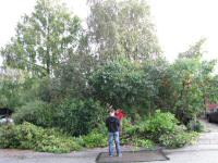 Img_004191