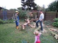 Img_004217