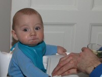 Img_005176