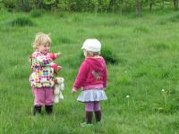 Img_006015