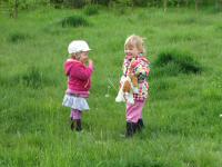 Img_006017
