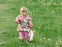 Img_006020