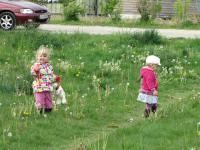 Img_006026