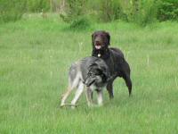 Img_006028