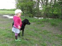 Img_006037