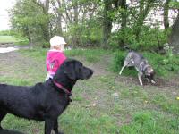 Img_006041