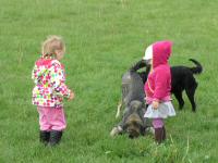 Img_006048