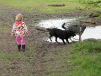 Img_006051