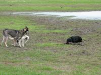 Img_006080
