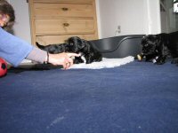 Img_006156